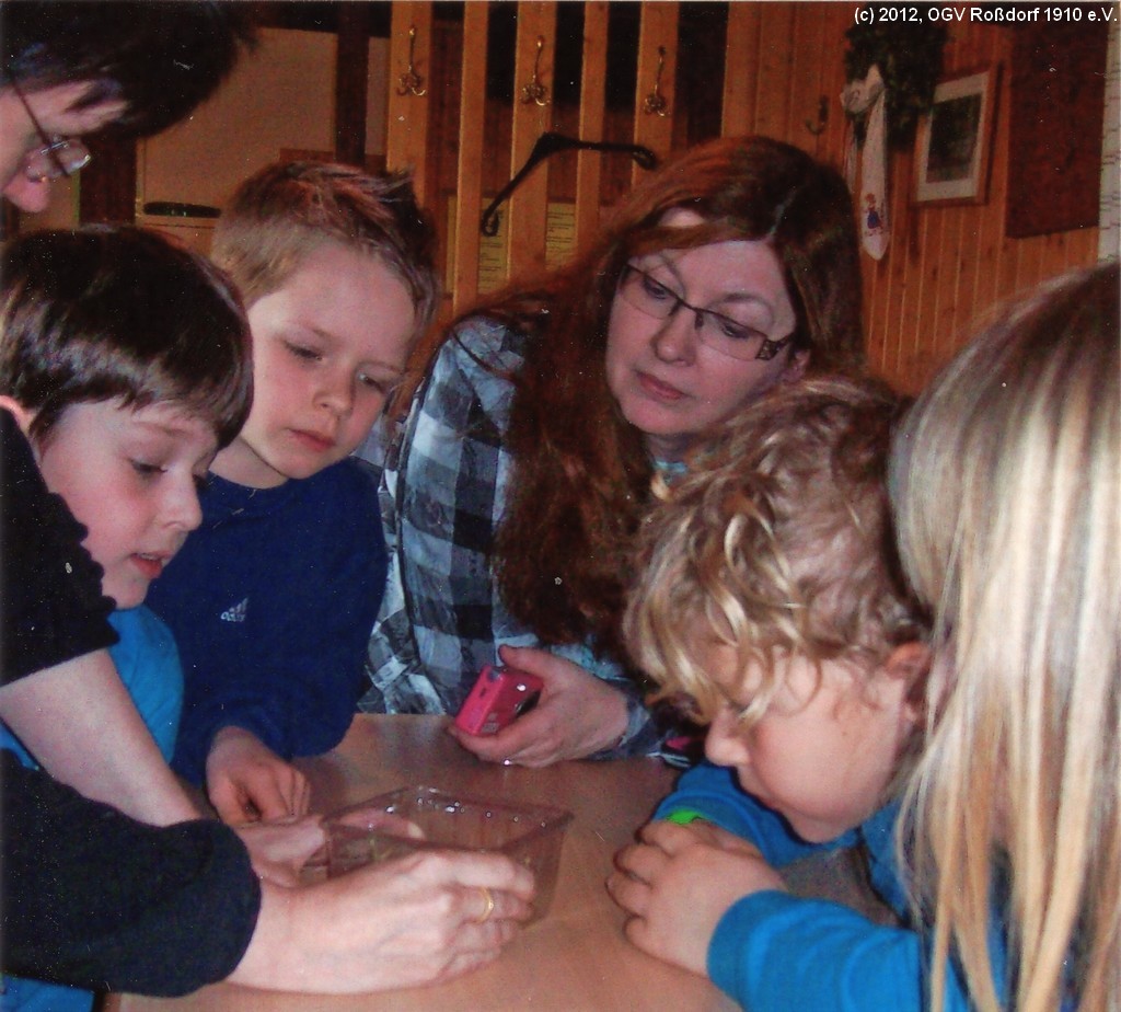 OGV-Jugendarbeit - Insekten (Mrz 2012)